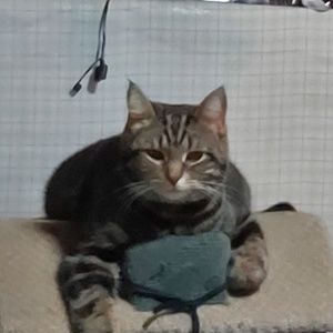 Meet your Posher, Jackie